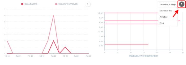 social media report 13