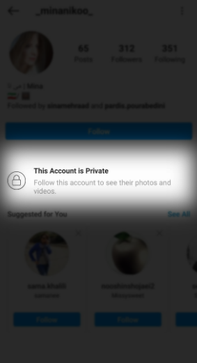 how to view private instagram 2020