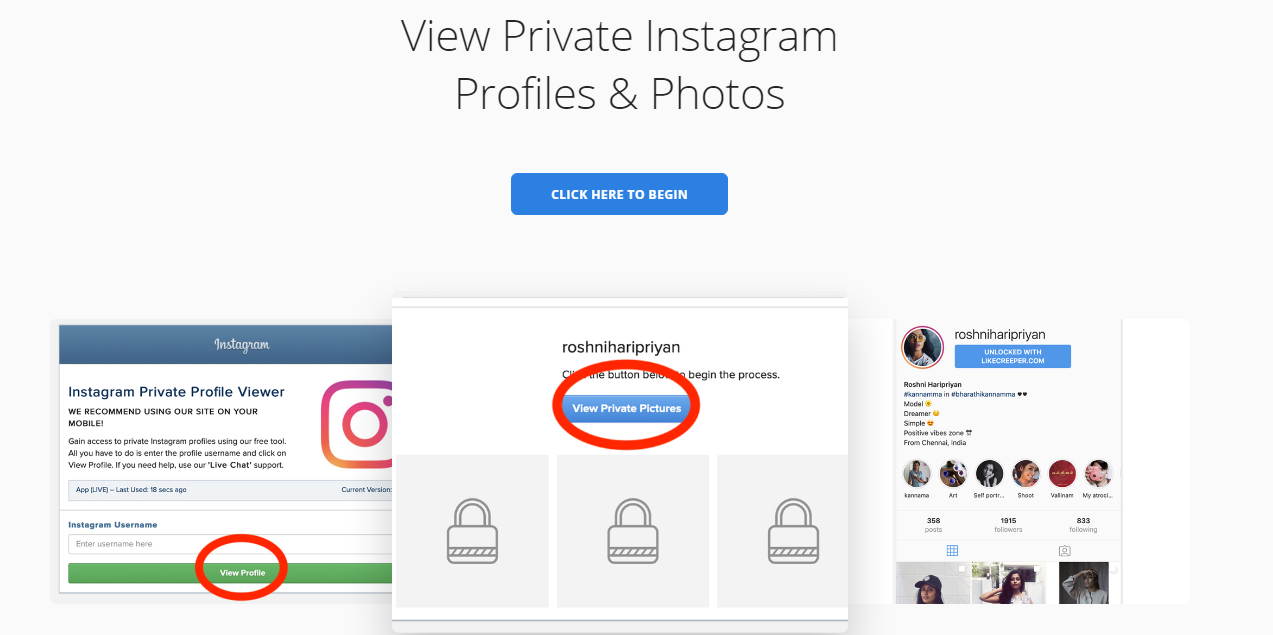 how to see private instagram