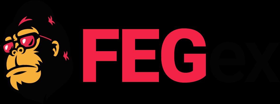 What is FEG & PHP coin