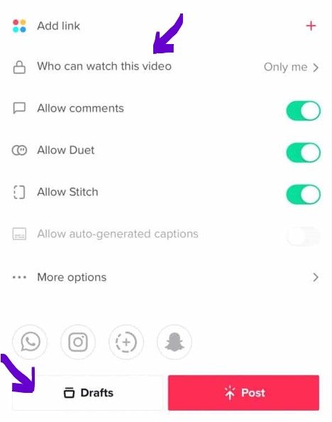 Download TikTok Video Without Posting