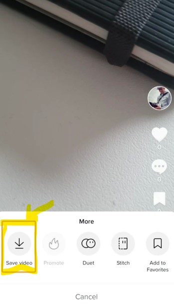 download tiktok video without posting